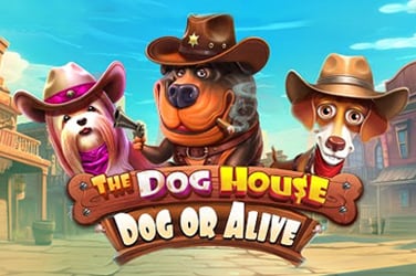 The Dog House - Dog or Alive